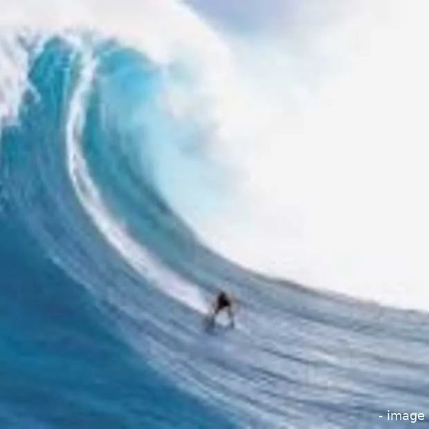 golf gebruikers google wave in september