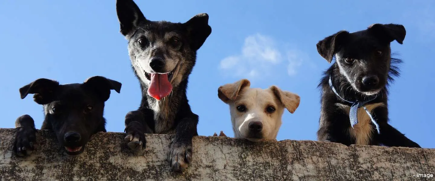 good girls netflix seizoen 4