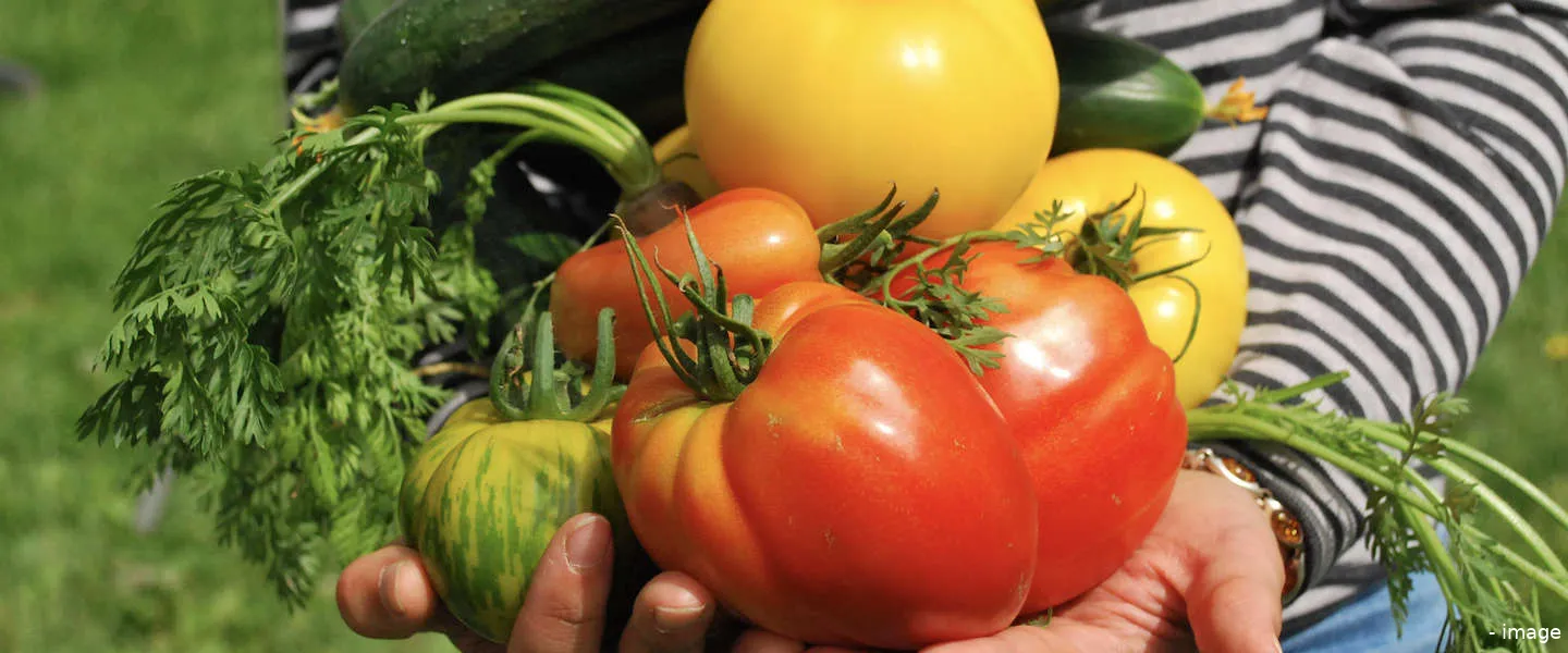 goodfoodclub streekproducten