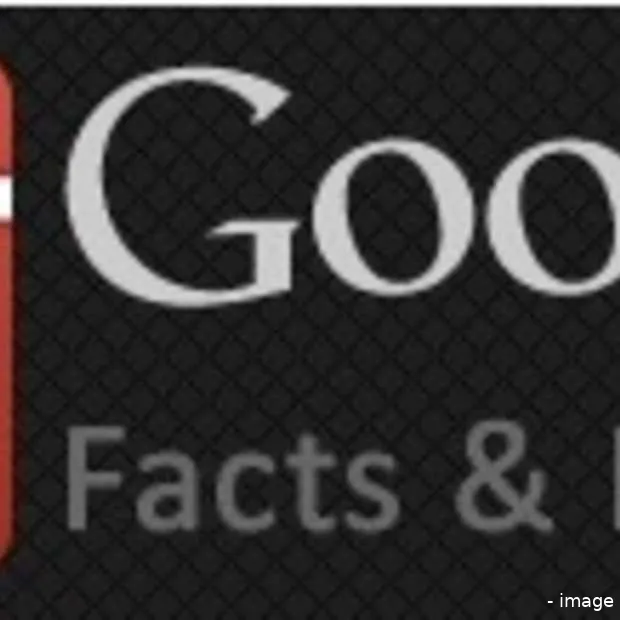 google feiten en cijfers infographic