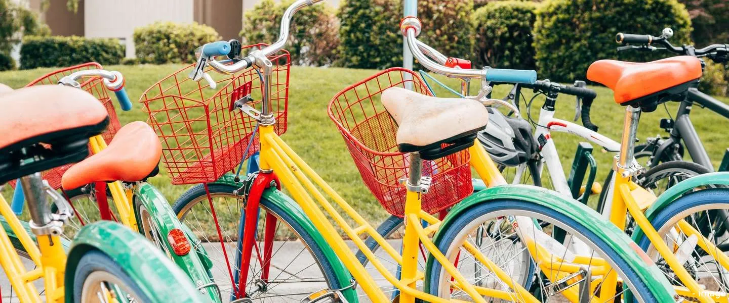 google fietsen diefstal