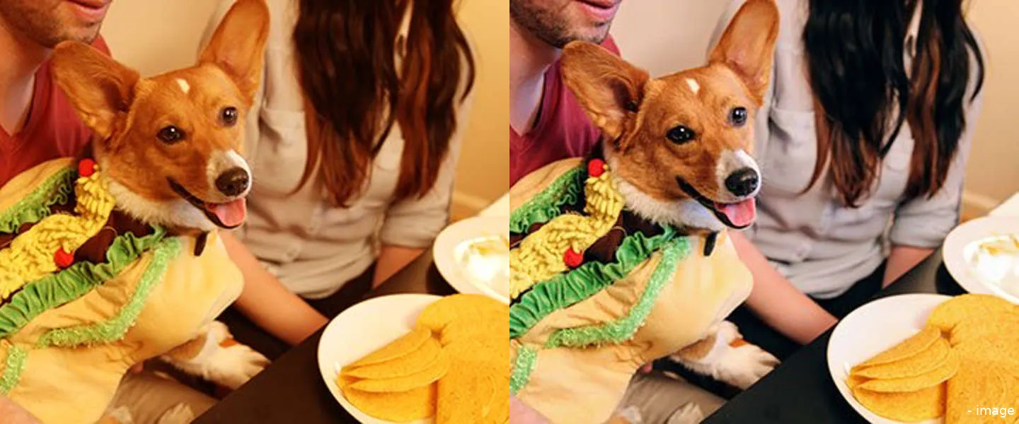 google fotos witbalans