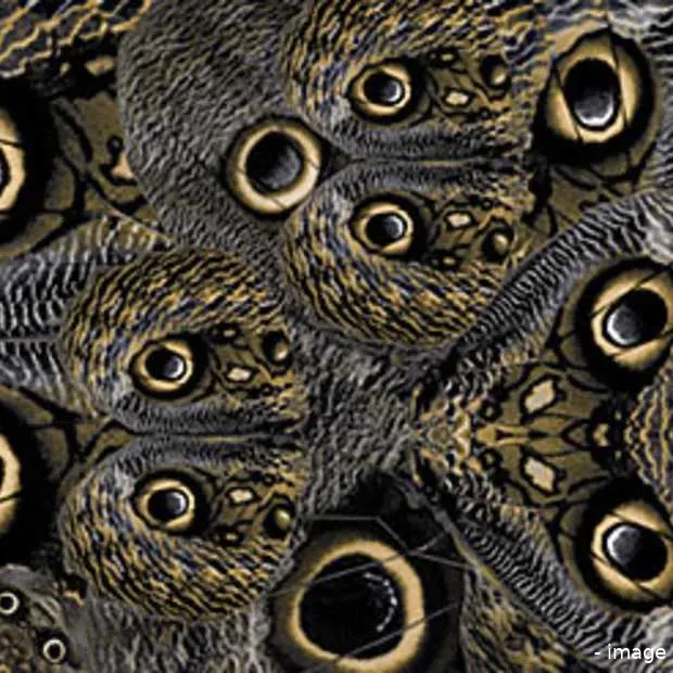 google gaat de strijd aan met ziekte en