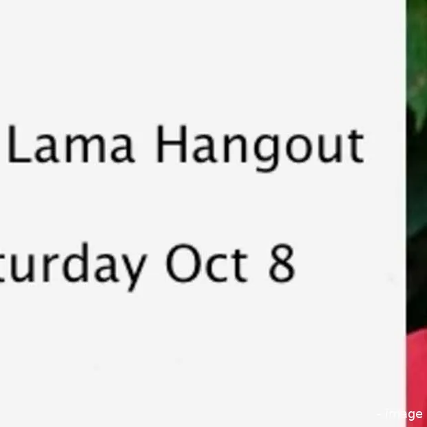 google hangout met de dalai lama