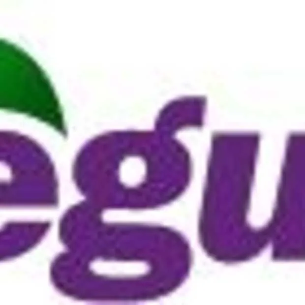 google koopt het russische begun