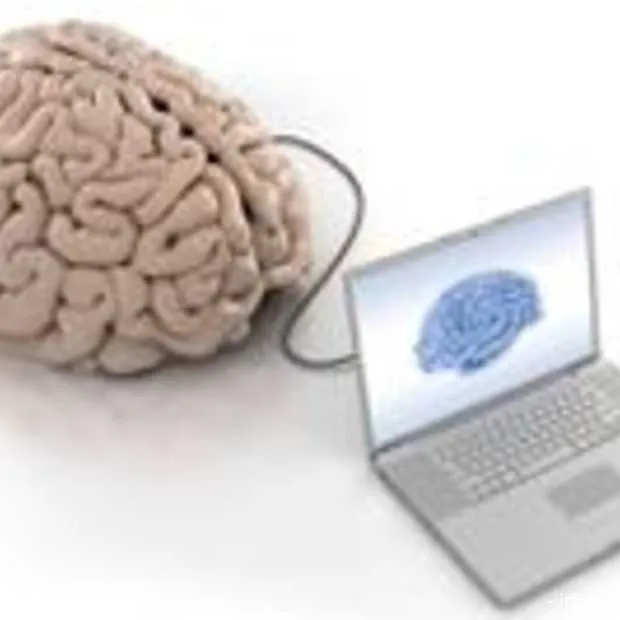 google made in holland