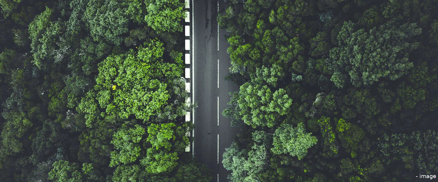 google maps tracking 1