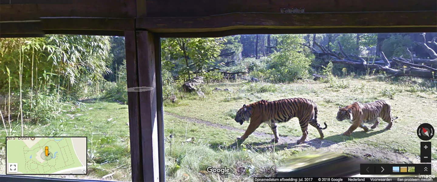 google streetview burgerszoo