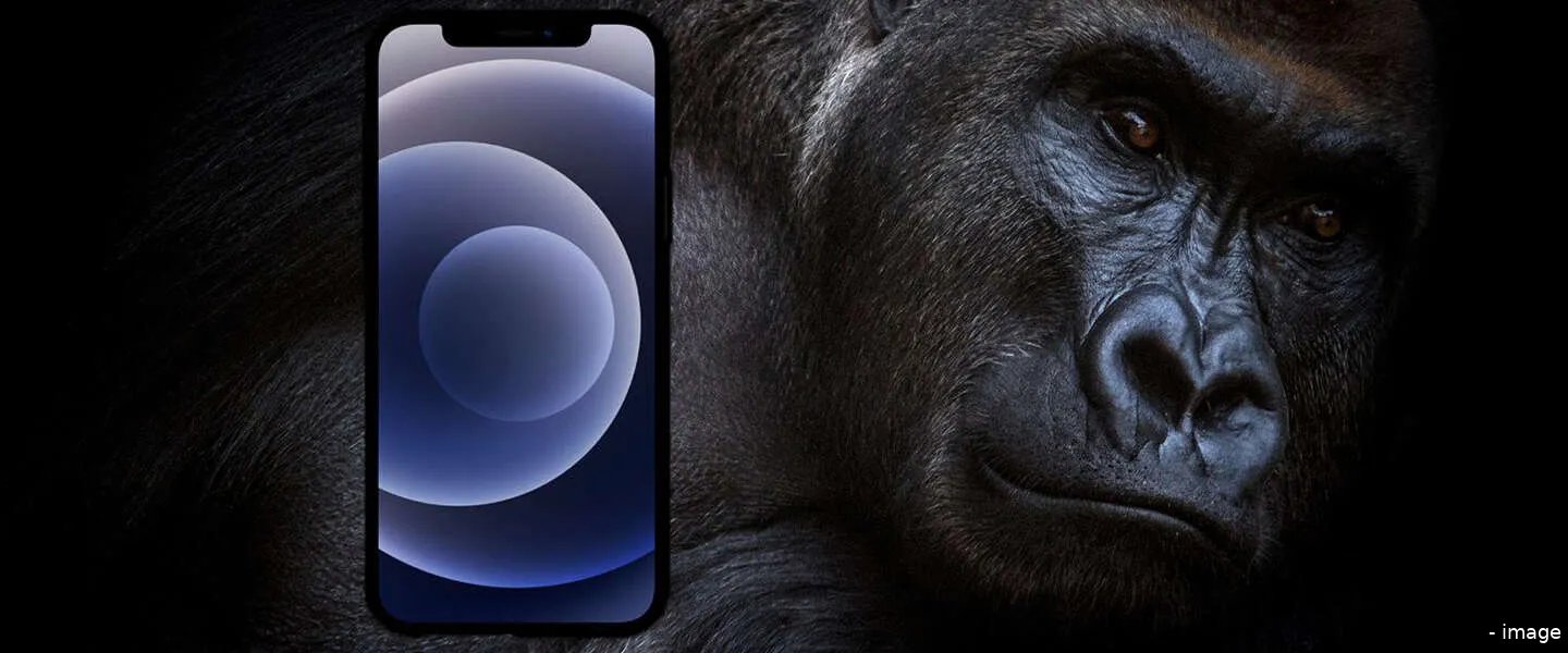 gorillaglass