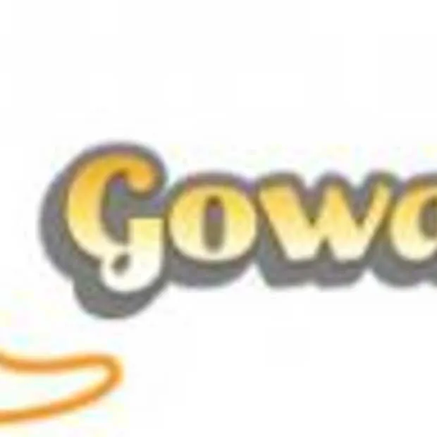 gowalla maakt checkin api beschikbaar vo