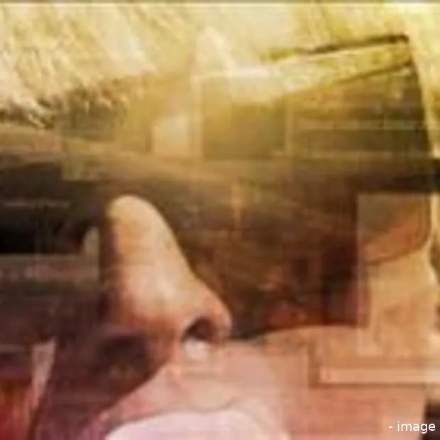 grammy uitreiking trekt meer kijkers dan