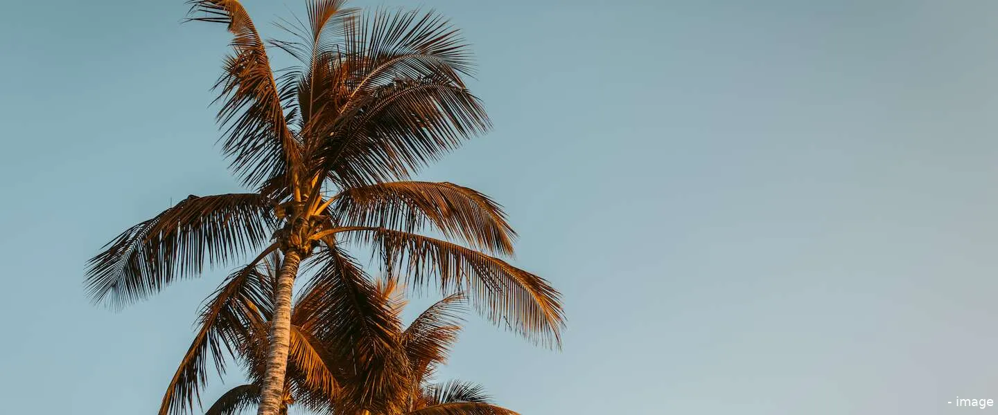 gratis coronatest vakantie