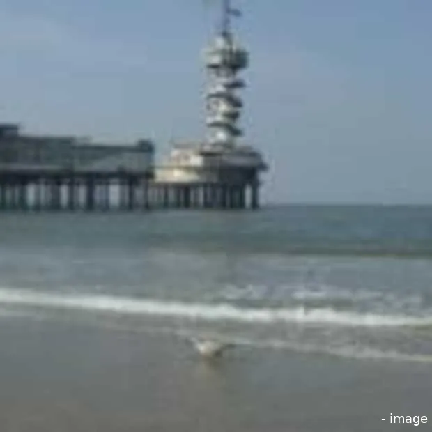 gratis wifi voor strandgasten