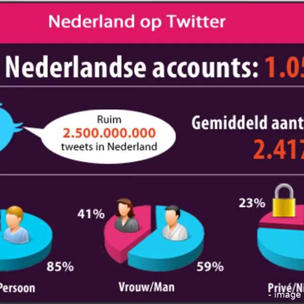 groei aantal nederlandse twitteraccounts