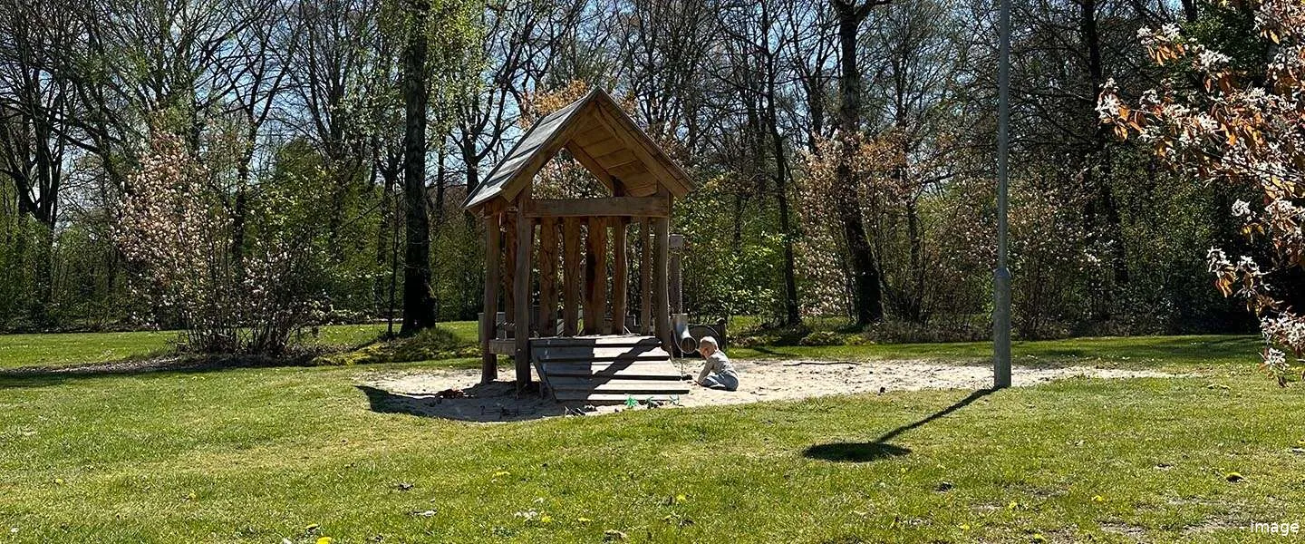 groene natuur omgeving