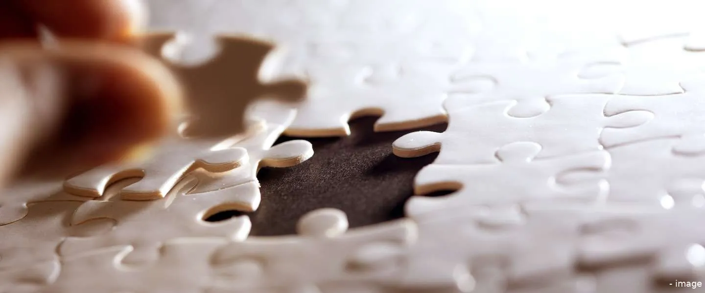 grootste puzzel wereld