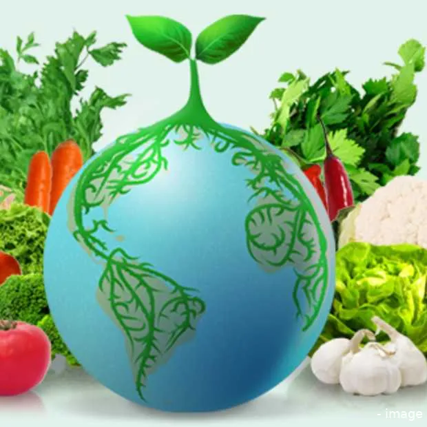 grow the planet je eigen online moestuin