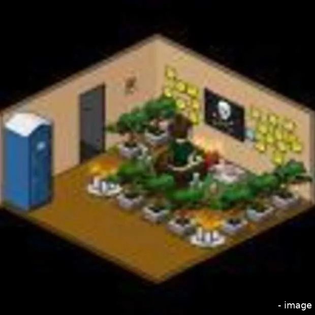 habbo gaat crossmedia