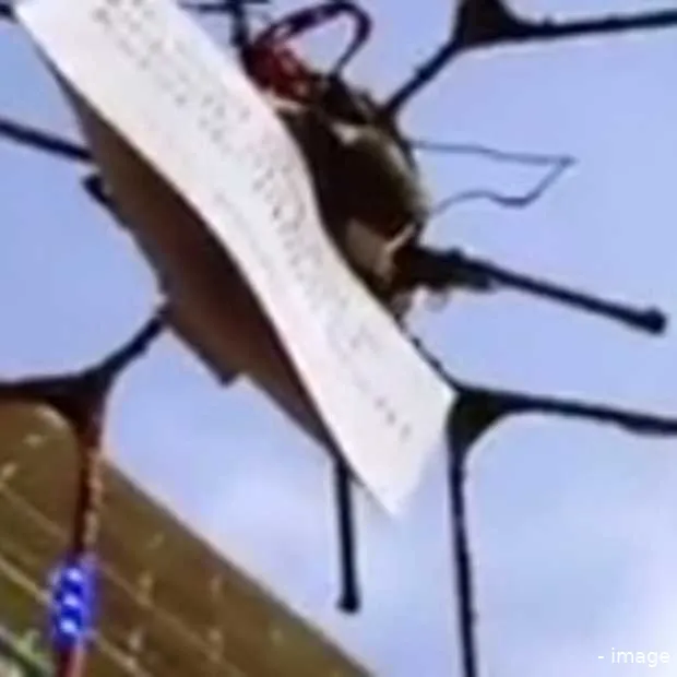 helikopterstunt bedankt bazen van nederl