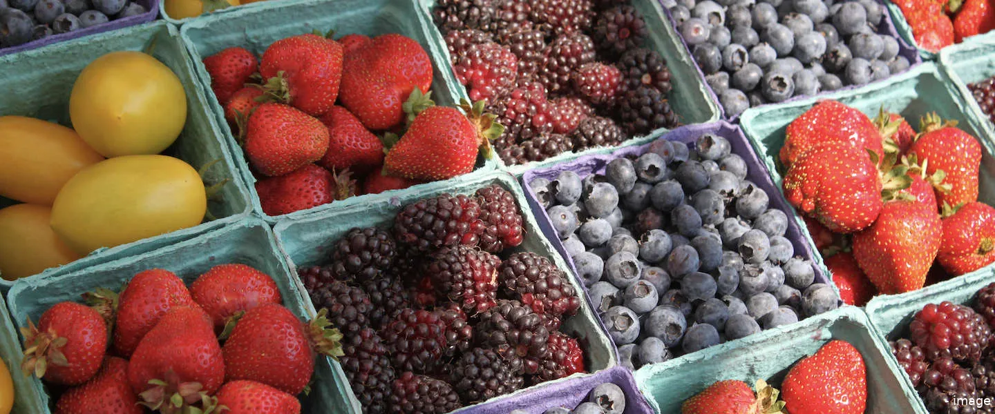 hema albert heijn pilotwinkels