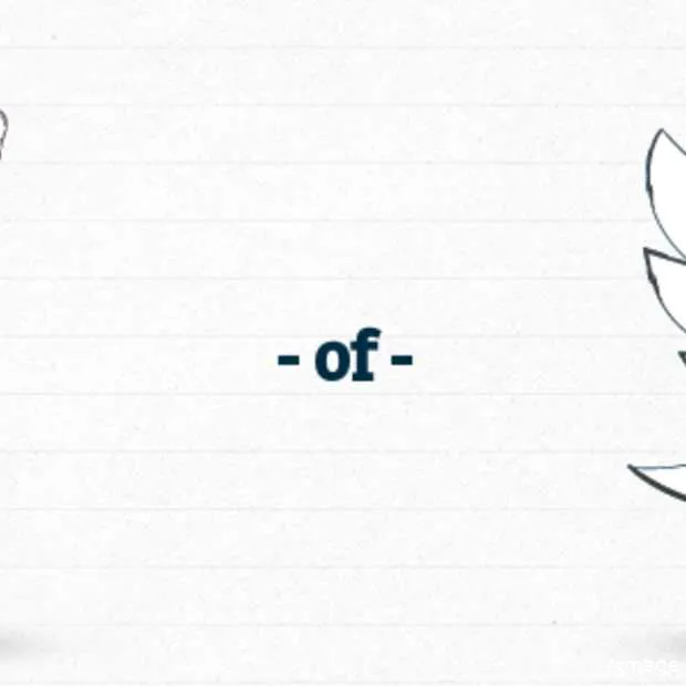 het groot twictee der nederlandse taal