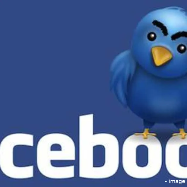 het jaar van facebook vs twitter infogra