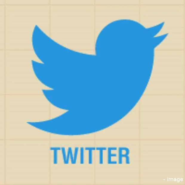 het maken van een perfecte tweet infogra