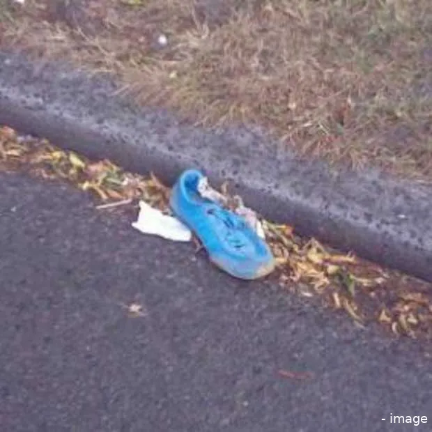 het mysterie van roadsideshoe com