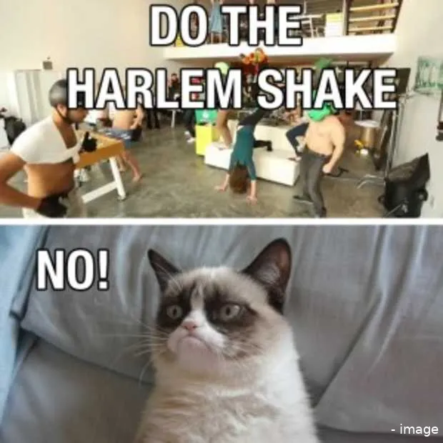 hoe gangnam style en harlem shake wereld