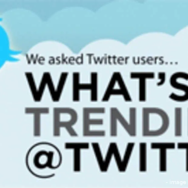 hoe gebruikt men twitter infographic