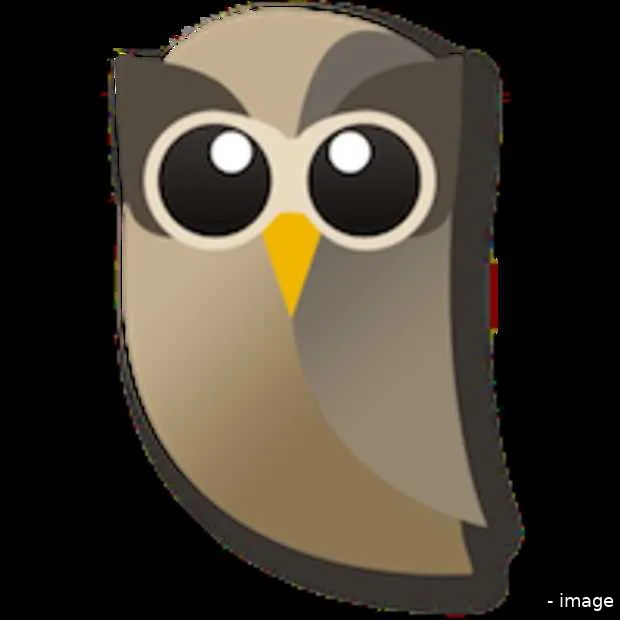 hootsuite 5 miljoen gebruikers 290 medew