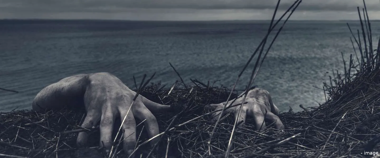 horrorfilms series halloween