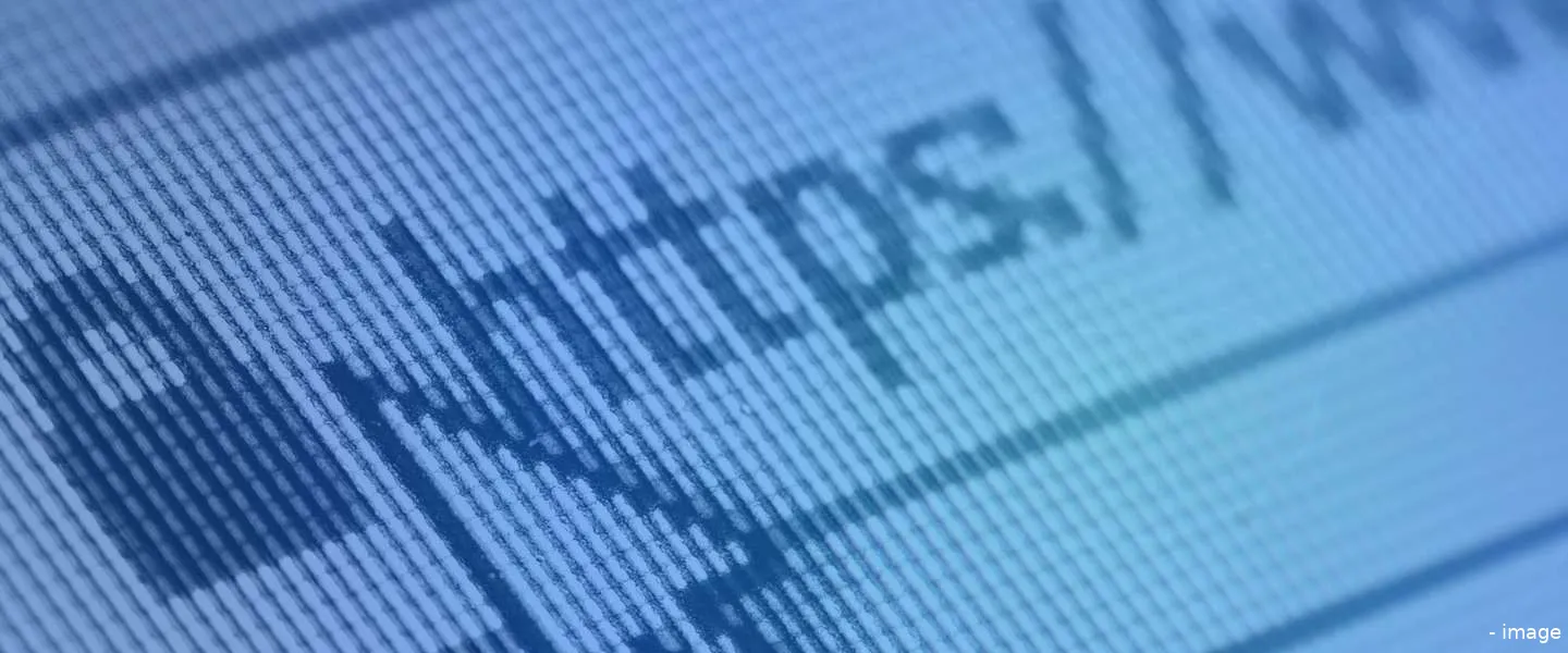 https chrome aanpassing