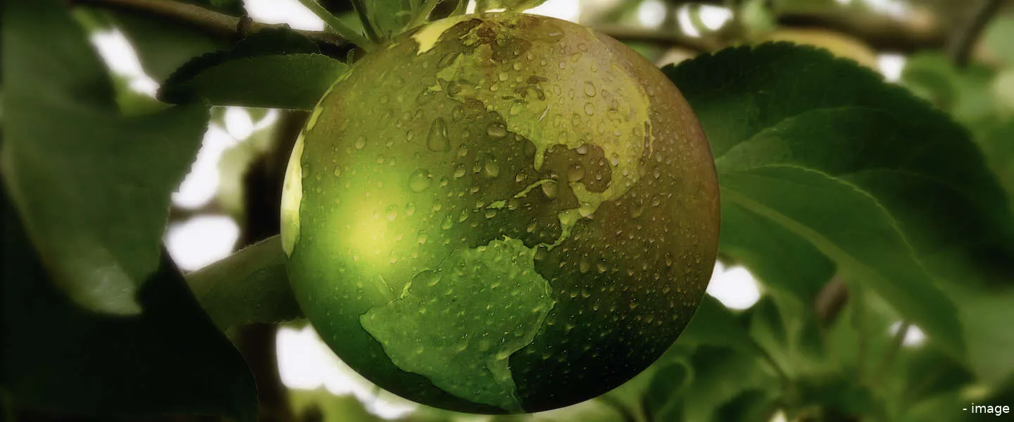 huawei sustainability networks 1