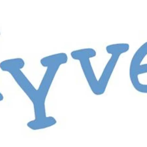 hyves 299 miljoen waard