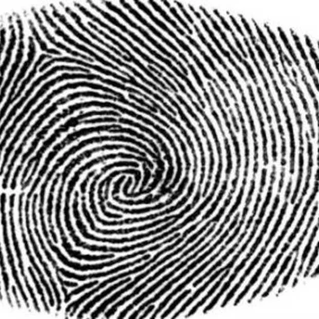 identiteit 2 0 digitale pioniers onderst