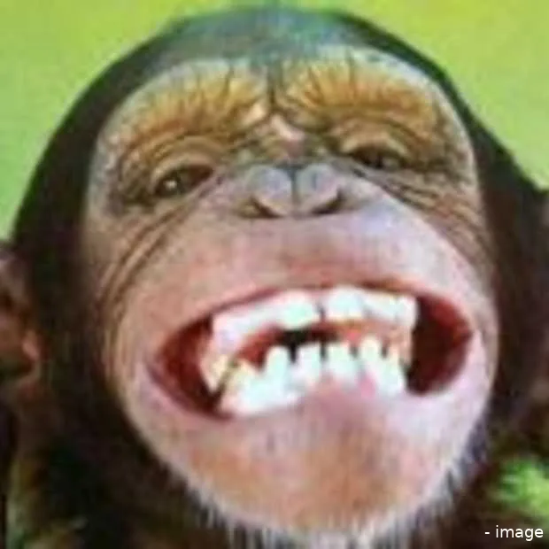 ik ben geen social media expert deel 2