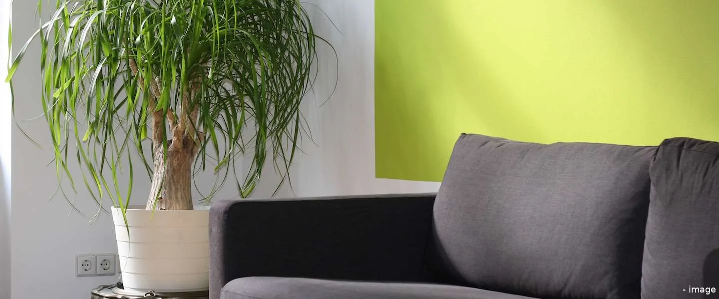 ikea stadswinkel parijs kleinste winkel