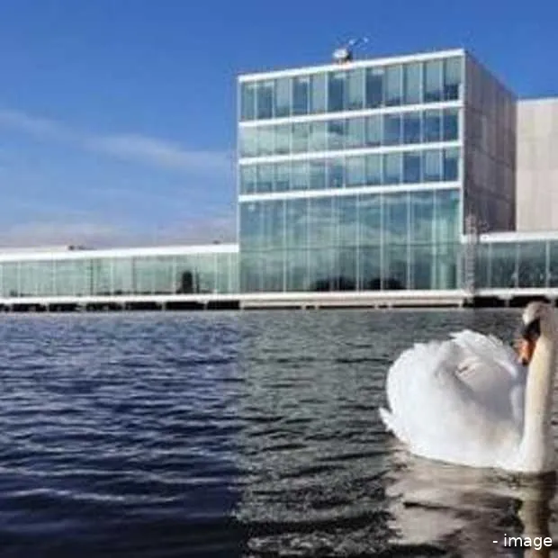 in de virtuele wachtrij