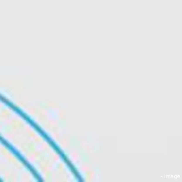 infographic social media in het bedrijfs