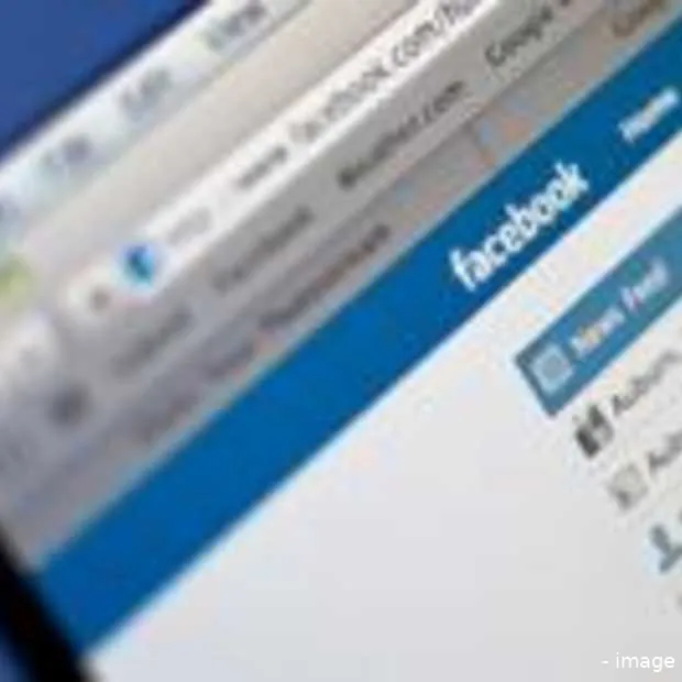 inkomsten facebook vergeleken met die va