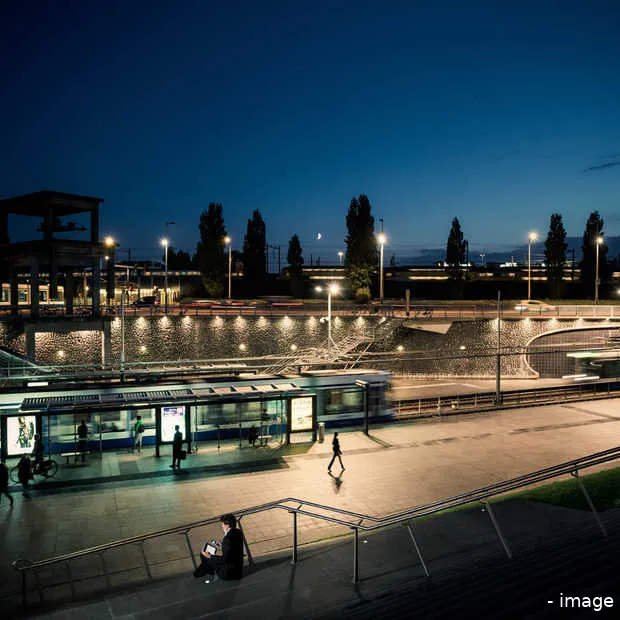 insight 75 van de nederlanders vindt dat