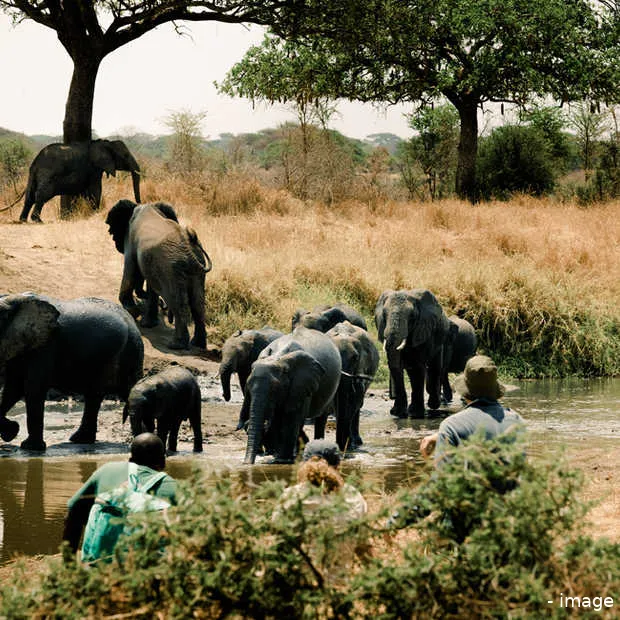 insight al is het dichter bij huis korte