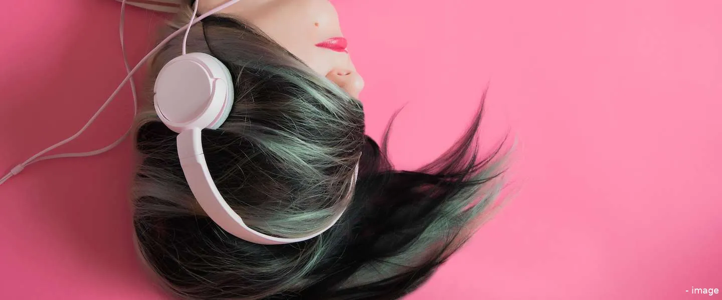 instagram stories muziek nederland