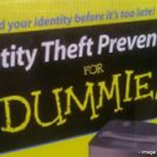 internetcriminaliteit floreert erg goed