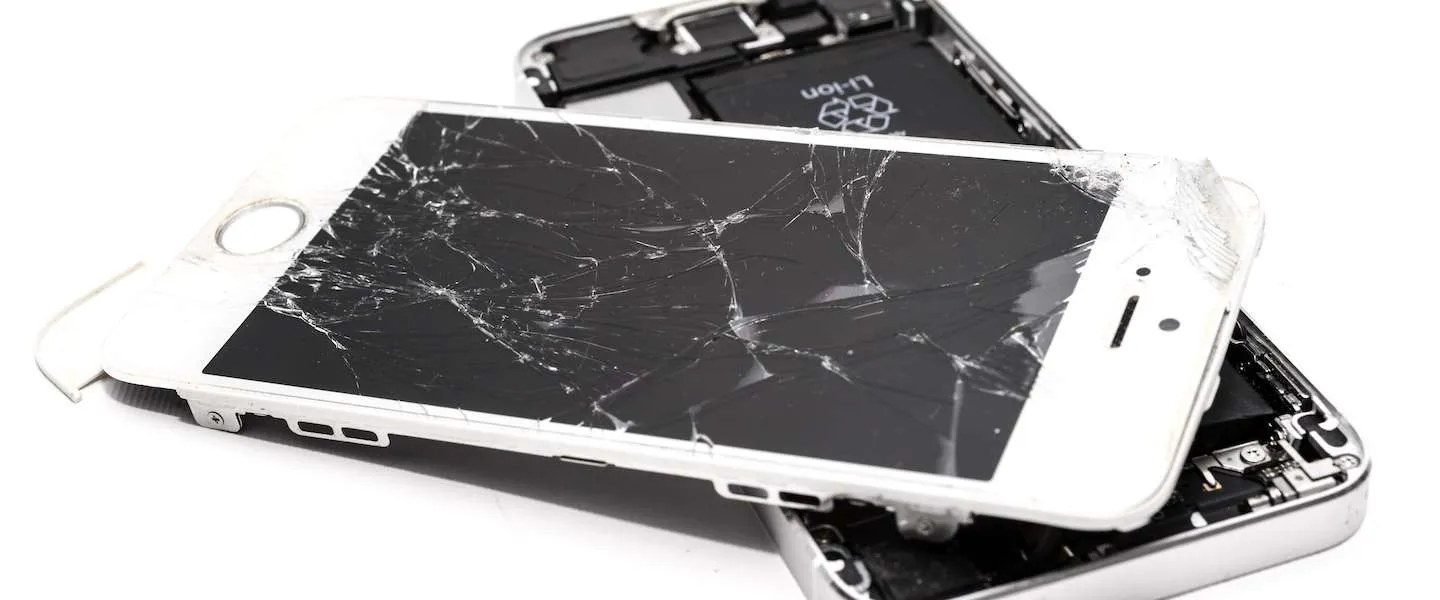 iphone daisy kpn earth day