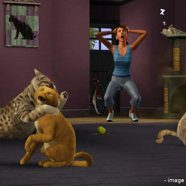 je krijgt heel veel terug van de sims be