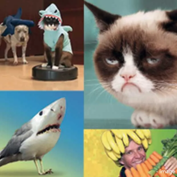 jongeren opgeroepen online crap te maken