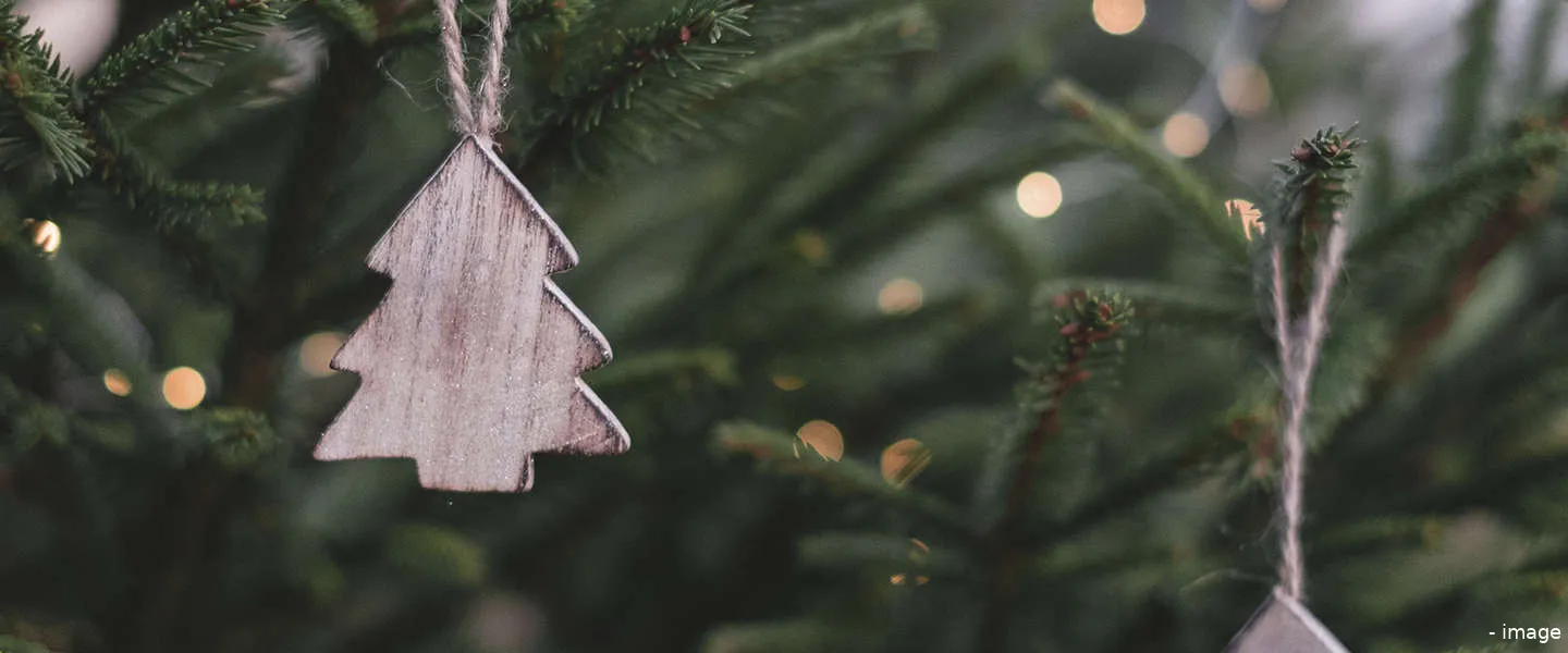 kerstboom echt of nep