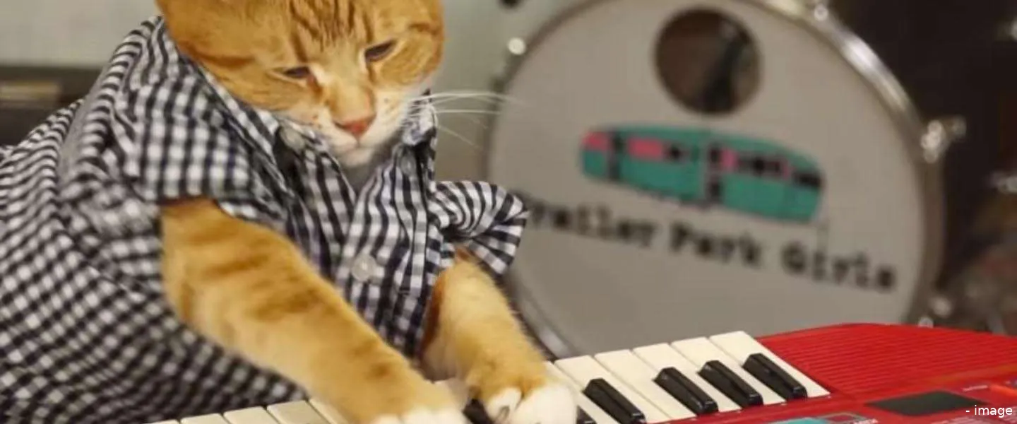 keyboardcat viral